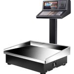 ترازو رادین 70 کیلوگرم مدل RADIN-8800Pro